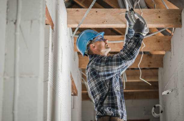 Best Electrical Repair Services  in Tuscola, IL